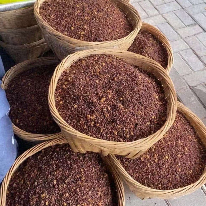 《酒糟》高蛋白牛羊饲料源头厂家发货常年供应欢迎联系
