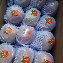 阿克苏苹果