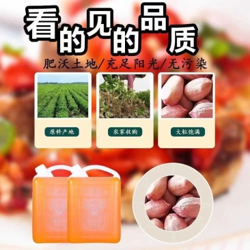 正宗山东纯正花生压榨一级花生油浓香
