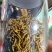 安徽霍山铁皮石斛全国发货品质保证欢迎下单诚信经营