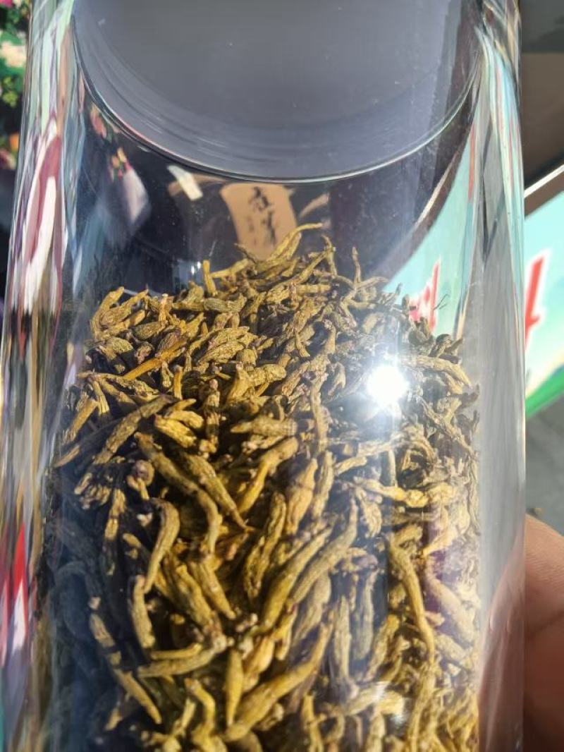 安徽霍山铁皮石斛全国发货品质保证欢迎下单诚信经营