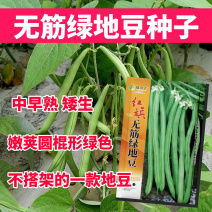 无筋绿地豆种子中早熟矮生不搭架嫩荚圆棍形绿色肉厚耐老