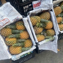 菠萝🍍无黑心、黑刺、口感甜、规格齐全、代发全国
