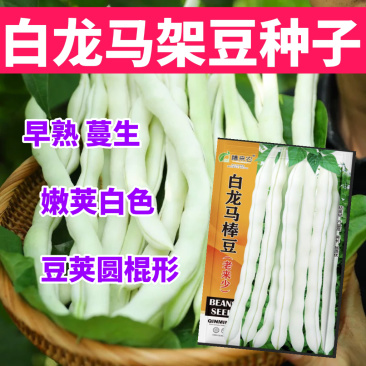 白龙马架豆种子老来少早熟嫩荚白色圆棍形春秋种植
