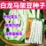 白龙马架豆种子老来少早熟嫩荚白色圆棍形春秋种植