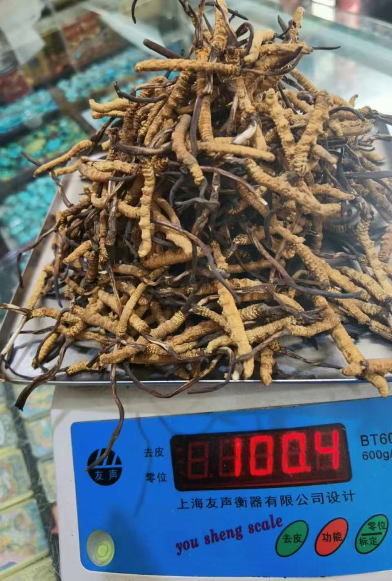 西藏正宗，那曲虫草，产地直发，量大从优，欢迎来电咨询