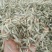 燕麦草1公斤正宗优质无硫燕麦穗燕麦干货批发乌麦