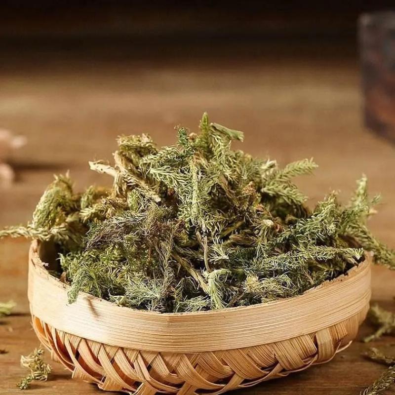 贵州伸筋草品质保证价格实惠欢迎联系可零售批发