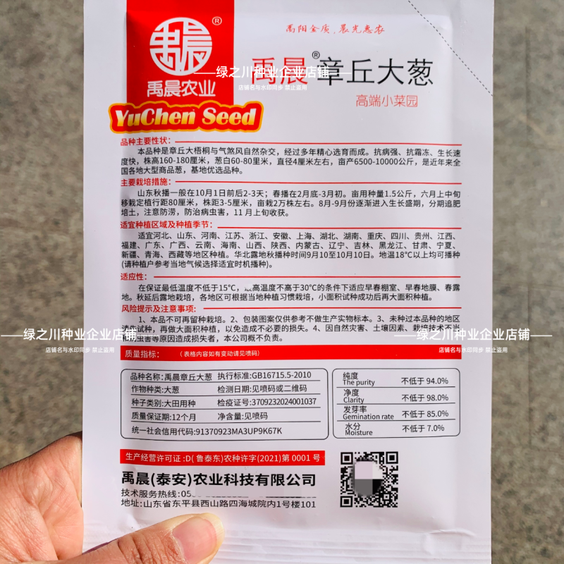 章丘大葱种子抗病铁杆山东大葱种籽高产耐寒白条葱种子