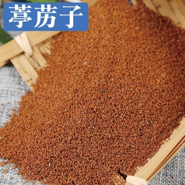 葶苈子1公斤中药材苦葶苈籽停粒子正品丁历子停力子干净