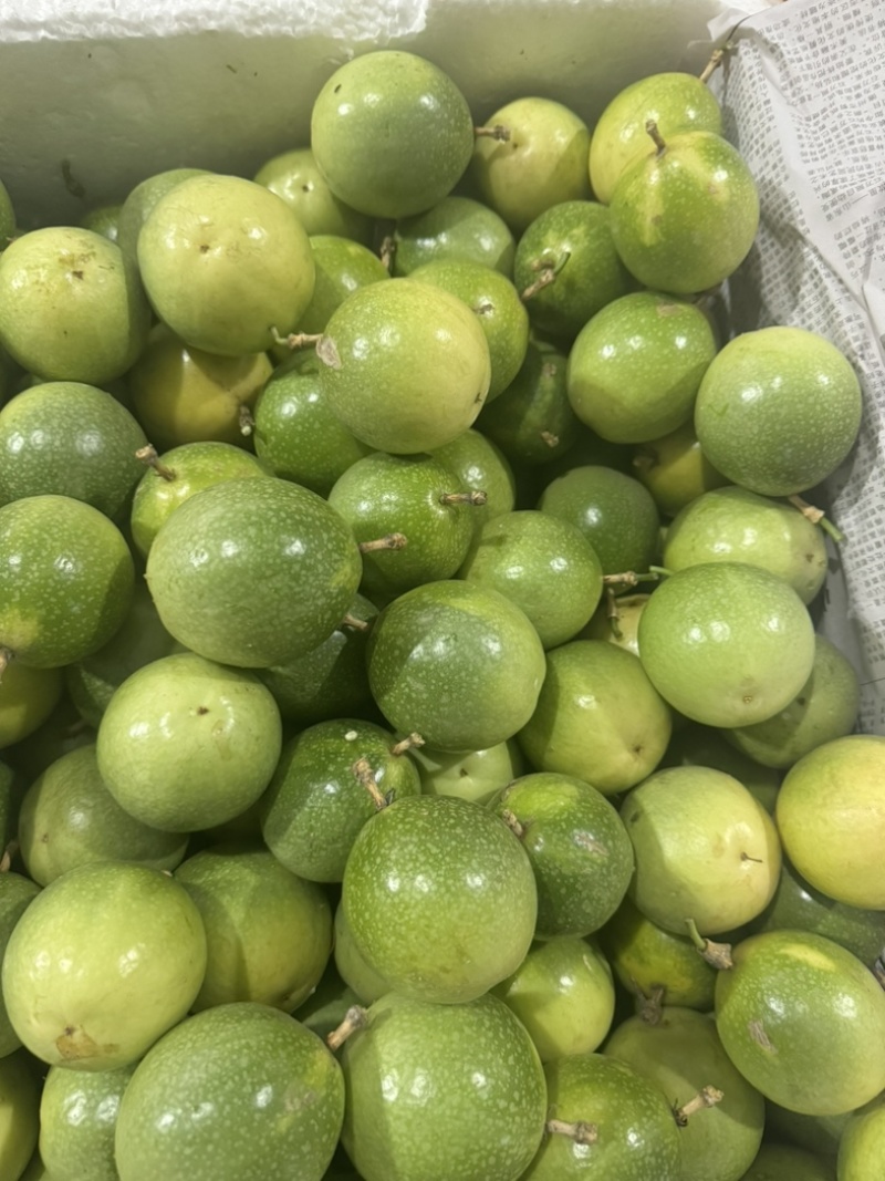 黄金百香果