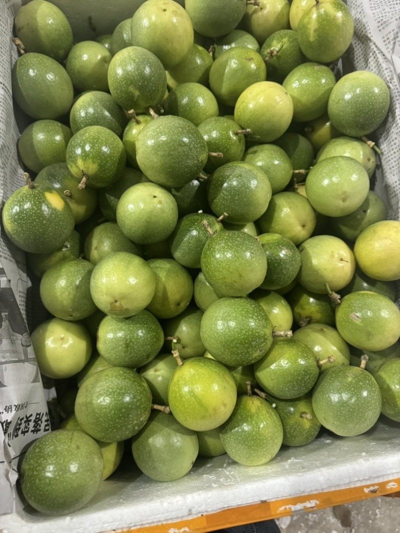 黄金百香果