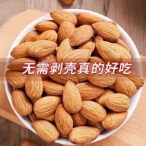 南杏仁1公斤原味甜杏仁大粒生南杏带皮南北杏煲汤料中药材正品