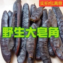 皂角个1公斤天然大皂角野生皂荚长皂角洗发防脱生