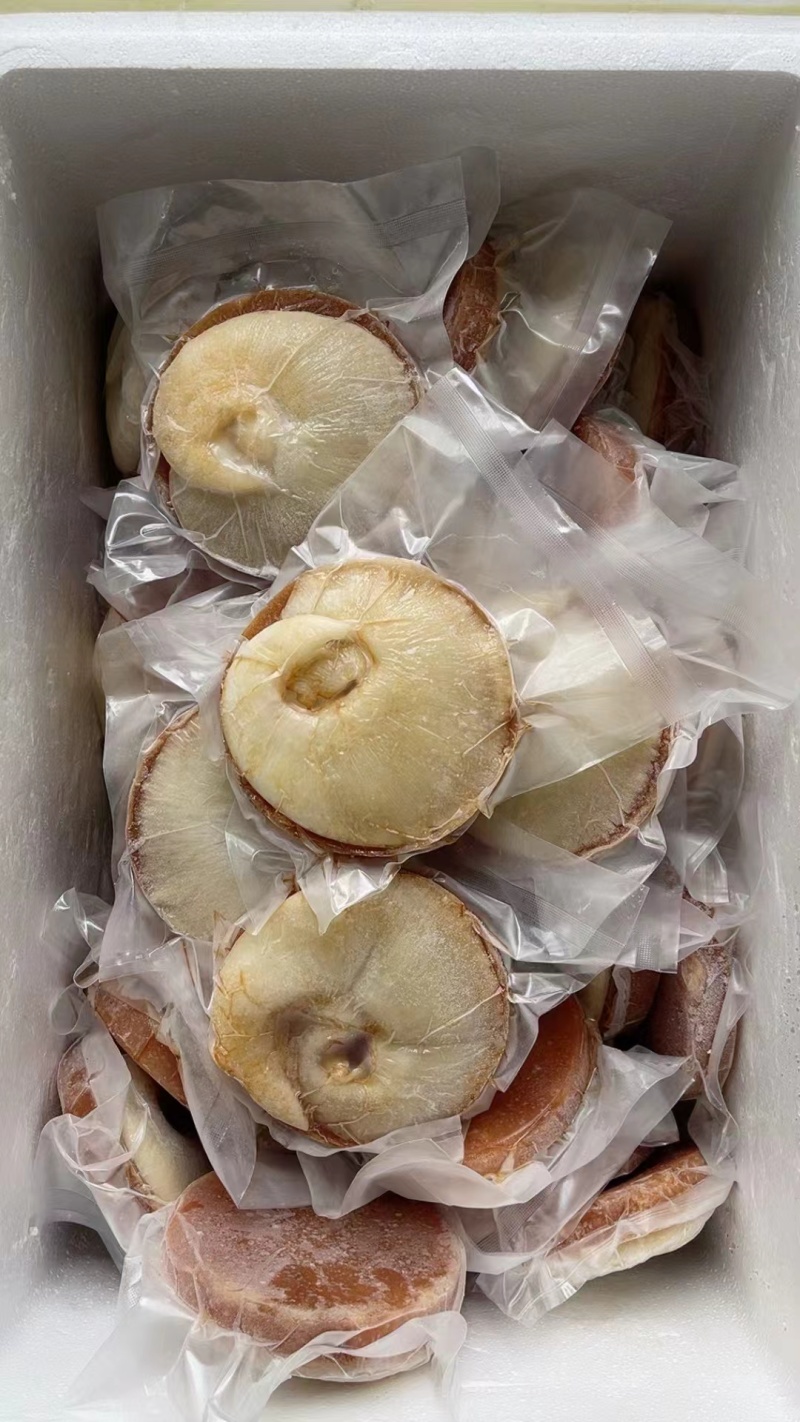 鲍参翅肚年货大礼包即食鲍鱼海参花胶鱼翅