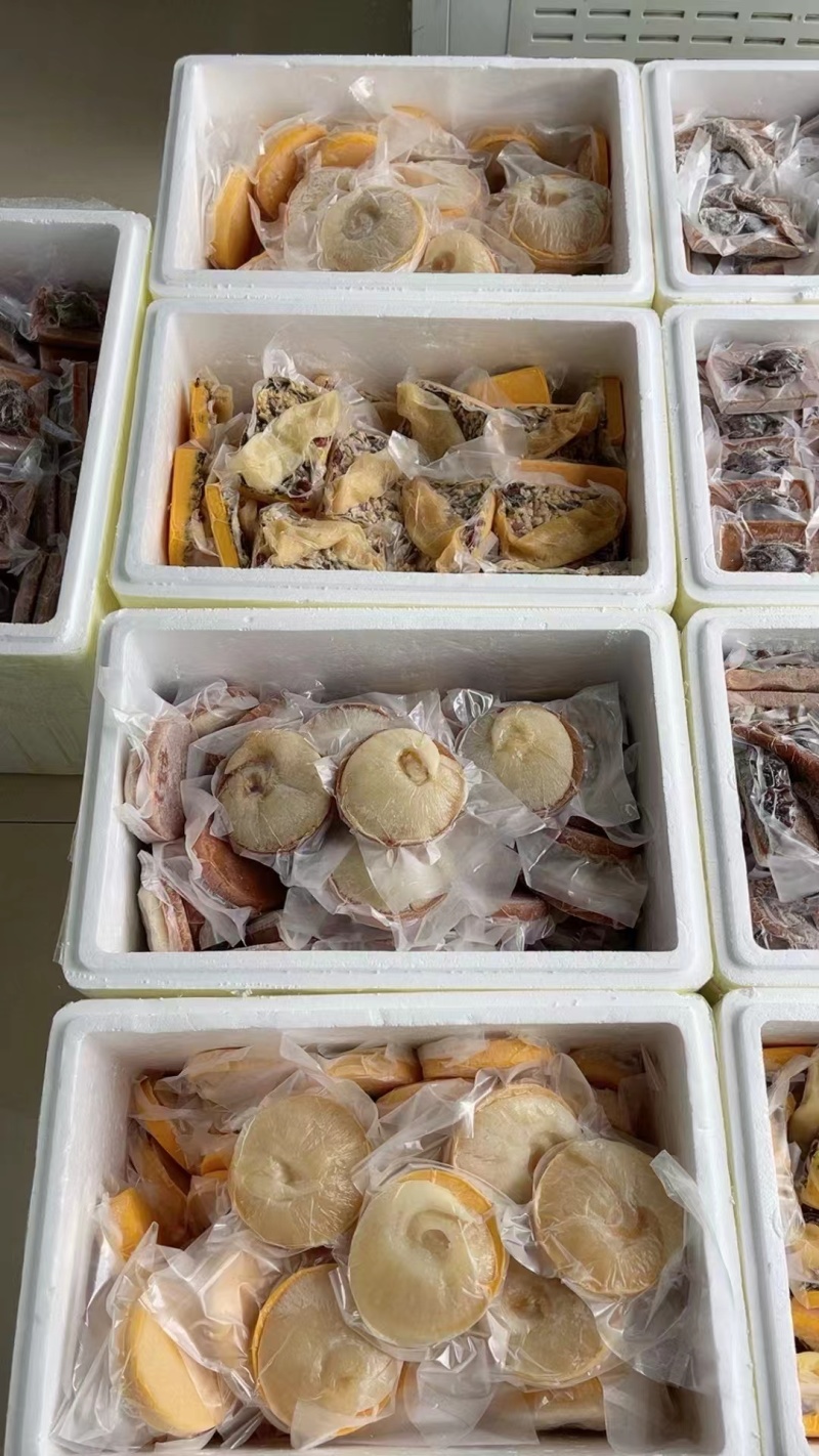 鲍参翅肚年货大礼包即食鲍鱼海参花胶鱼翅
