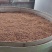 《酒糟》高蛋白牛羊饲料源头厂家发货常年供应欢迎联系