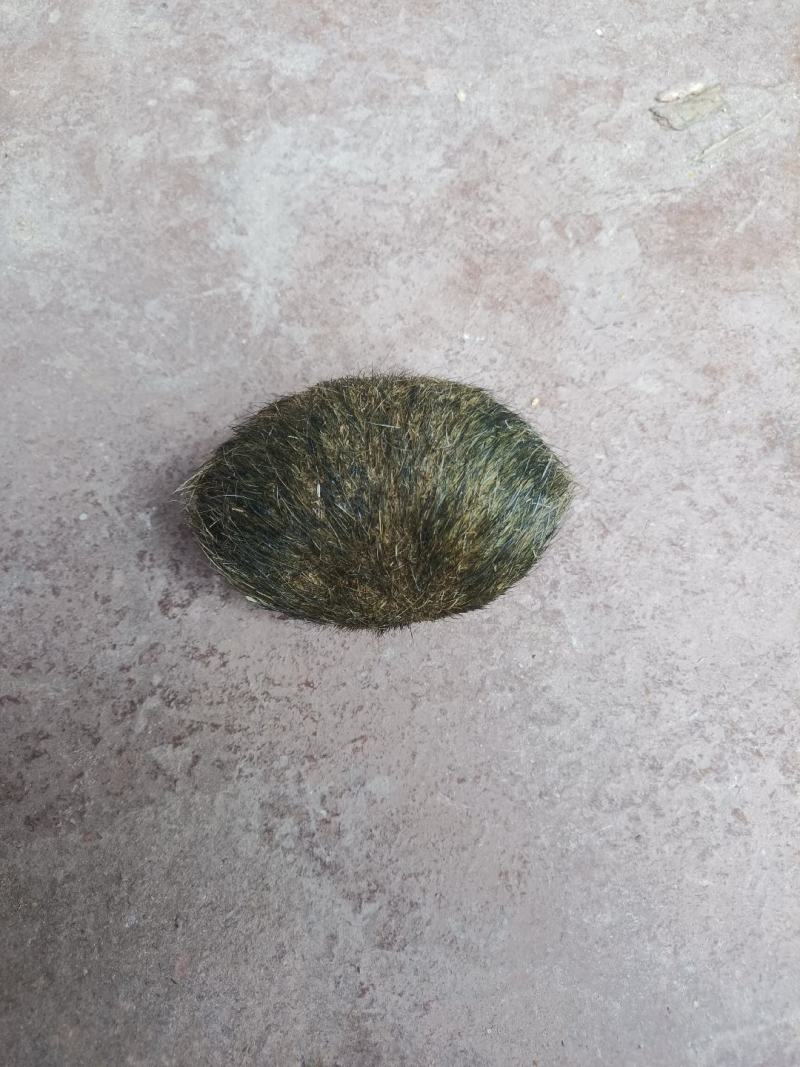 猪宝云南大理猪宝，精品货，阴干完成，质量保证，上等货