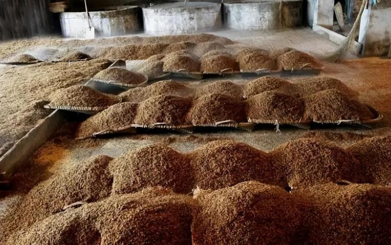 【源头产地】高粱酒糟干酒糟常年供应高蛋白牛羊饲料