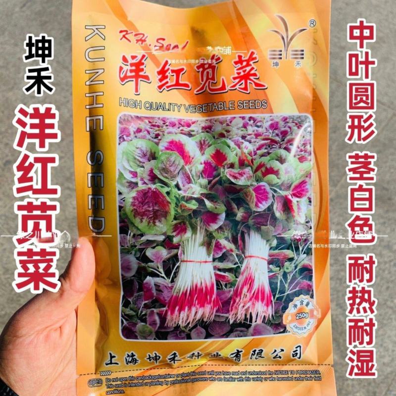 坤禾洋红苋菜种子白梗红根圆叶苋菜种耐热耐湿三色苋种籽高产