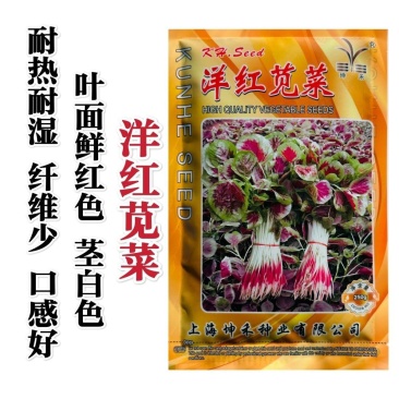 坤禾洋红苋菜种子白梗红根圆叶苋菜种耐热耐湿三色苋种籽高产