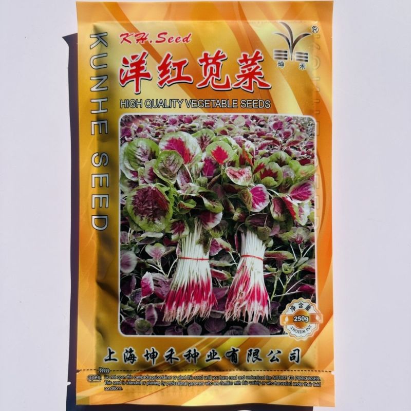 坤禾洋红苋菜种子白梗红根圆叶苋菜种耐热耐湿三色苋种籽高产