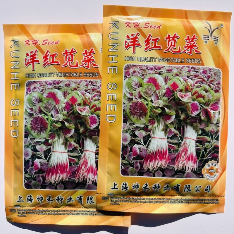 坤禾洋红苋菜种子白梗红根圆叶苋菜种耐热耐湿三色苋种籽高产