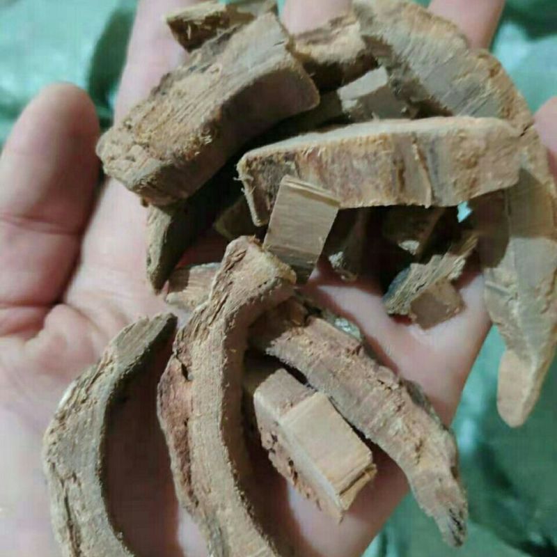梓白皮1公斤生梓皮梓木白皮梓树皮梓根白皮