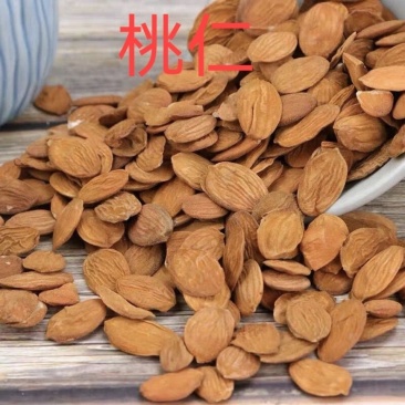 扁桃仁1公斤中药材桃仁正宗桃仁山桃仁生桃仁家桃仁新货无硫