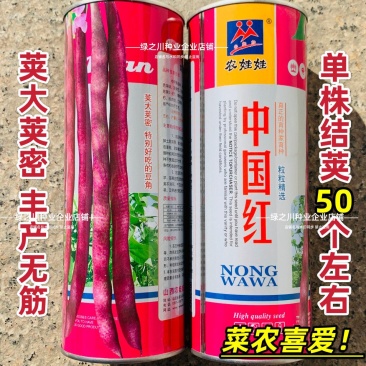 农娃娃架豆种子中国红豆角种子高产紫红无筋豆四季豆种子菜豆