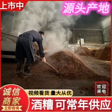 《酒糟》高蛋白牛羊饲料源头厂家发货常年供应欢迎联系
