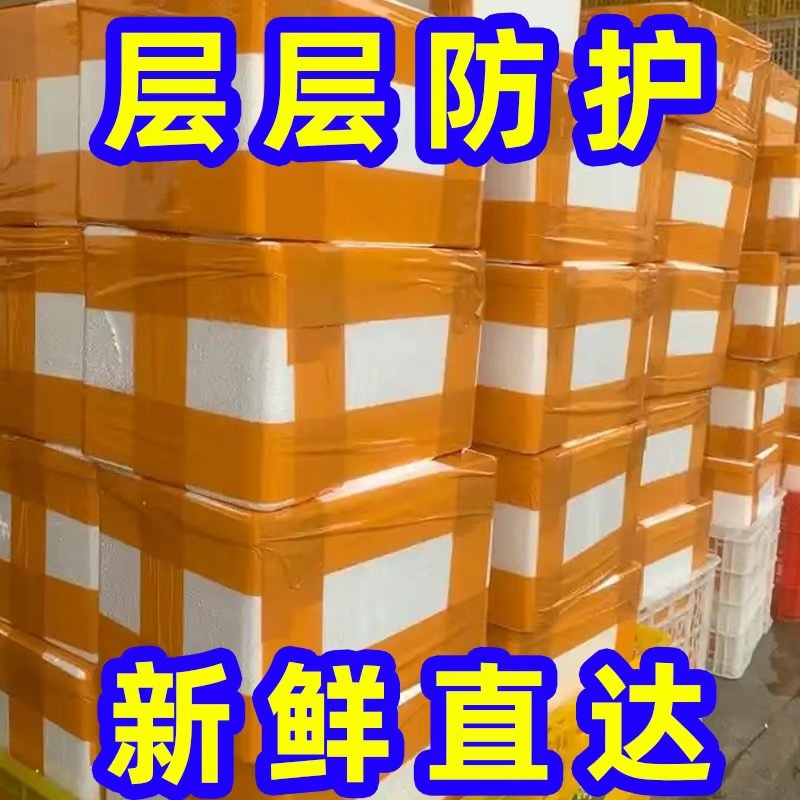 八大碗餐饮商超团购电商代发大年爆品家家必备礼盒
