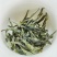 2019年一级白牡丹礼盒90g(5g*18泡）#老白茶