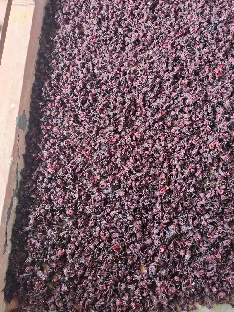 新鲜太阳晒干的洛神花，玫瑰茄质量保证，需要的老板联系我