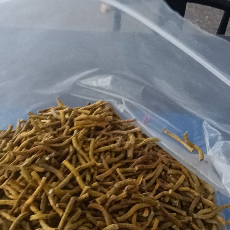 铁皮寸金质量保证价格可以谈欢迎来电谈诚信经营