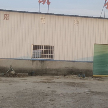 转让，或出租农场
