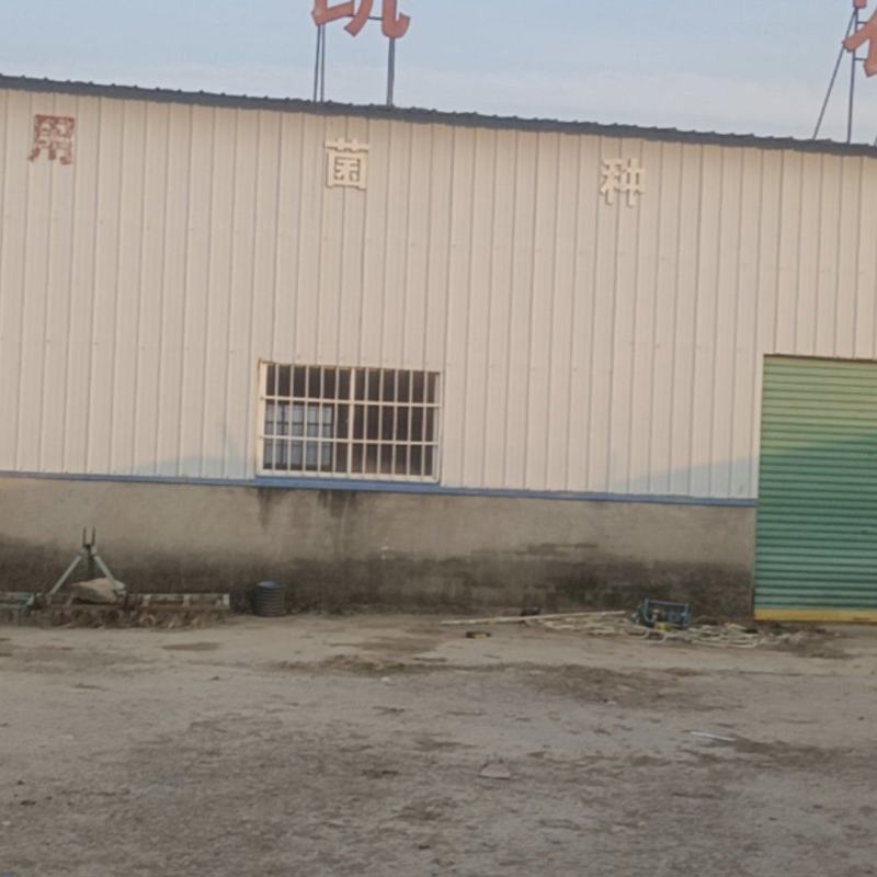 转让，或出租农场