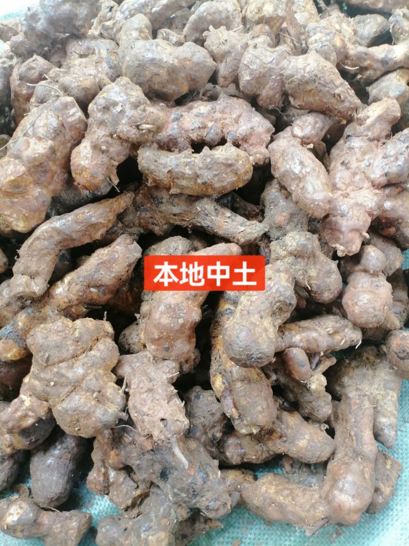 土茯苓中土（本地）粉质白肉，土茯苓中土，各种规格土茯苓