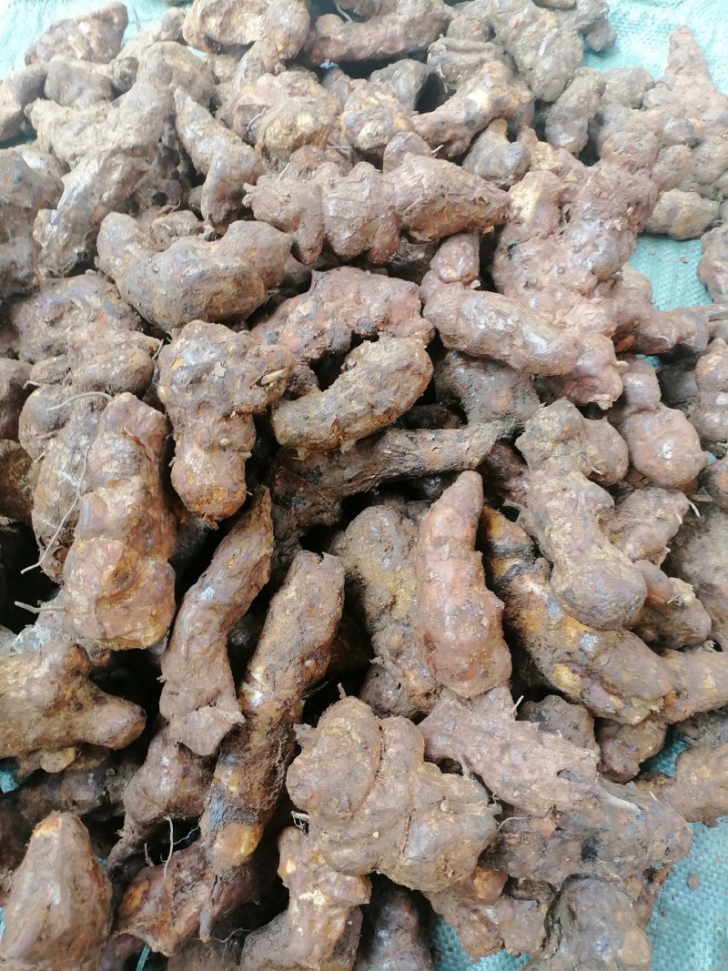 土茯苓中土（本地）粉质白肉，土茯苓中土，各种规格土茯苓