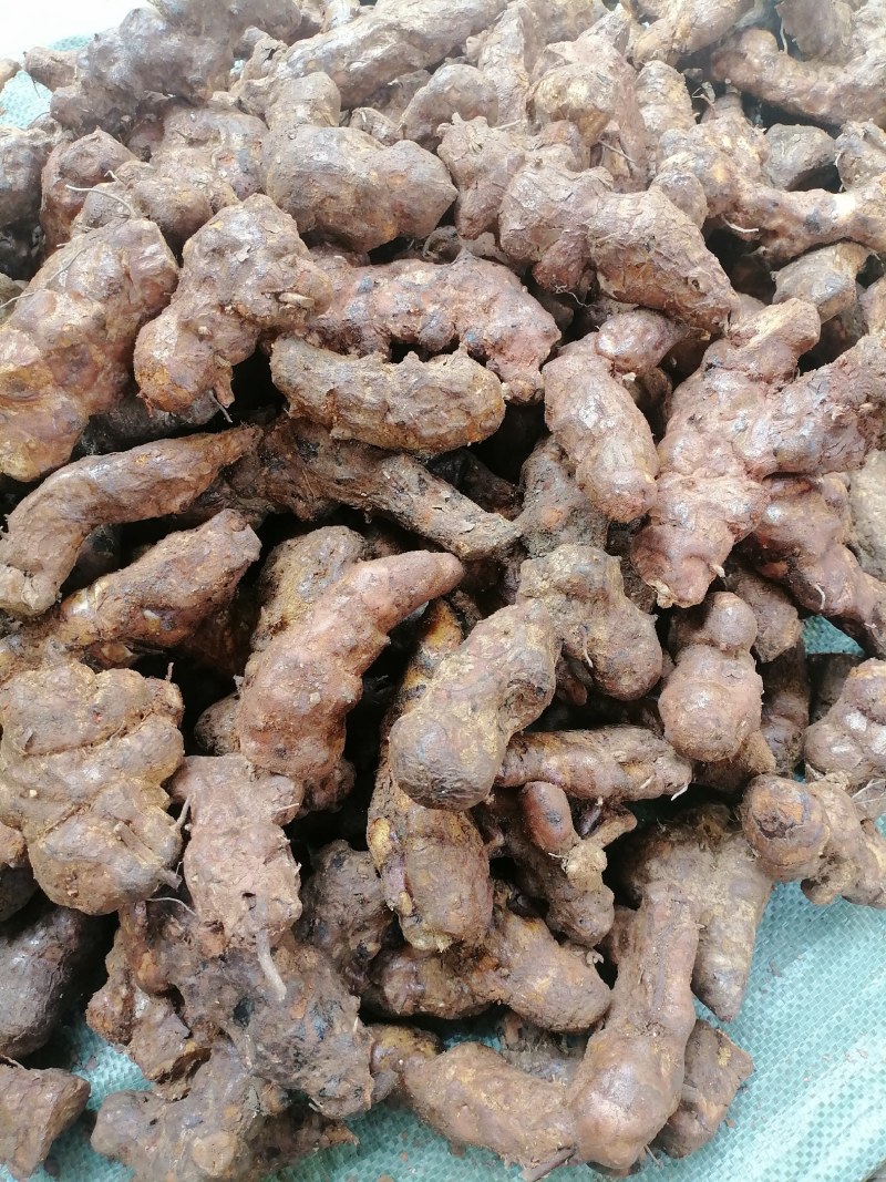 土茯苓中土（本地）粉质白肉，土茯苓中土，各种规格土茯苓