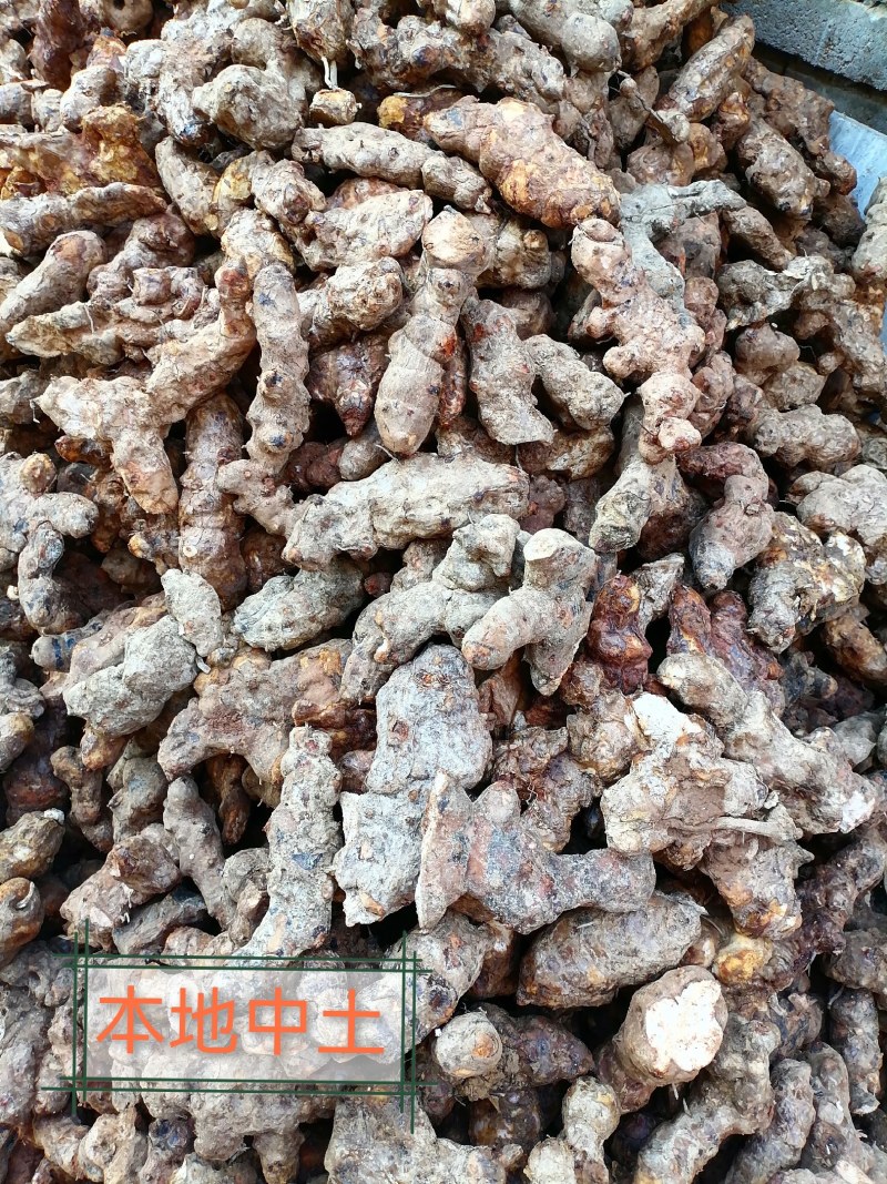 土茯苓中土（本地）粉质白肉，土茯苓中土，各种规格土茯苓