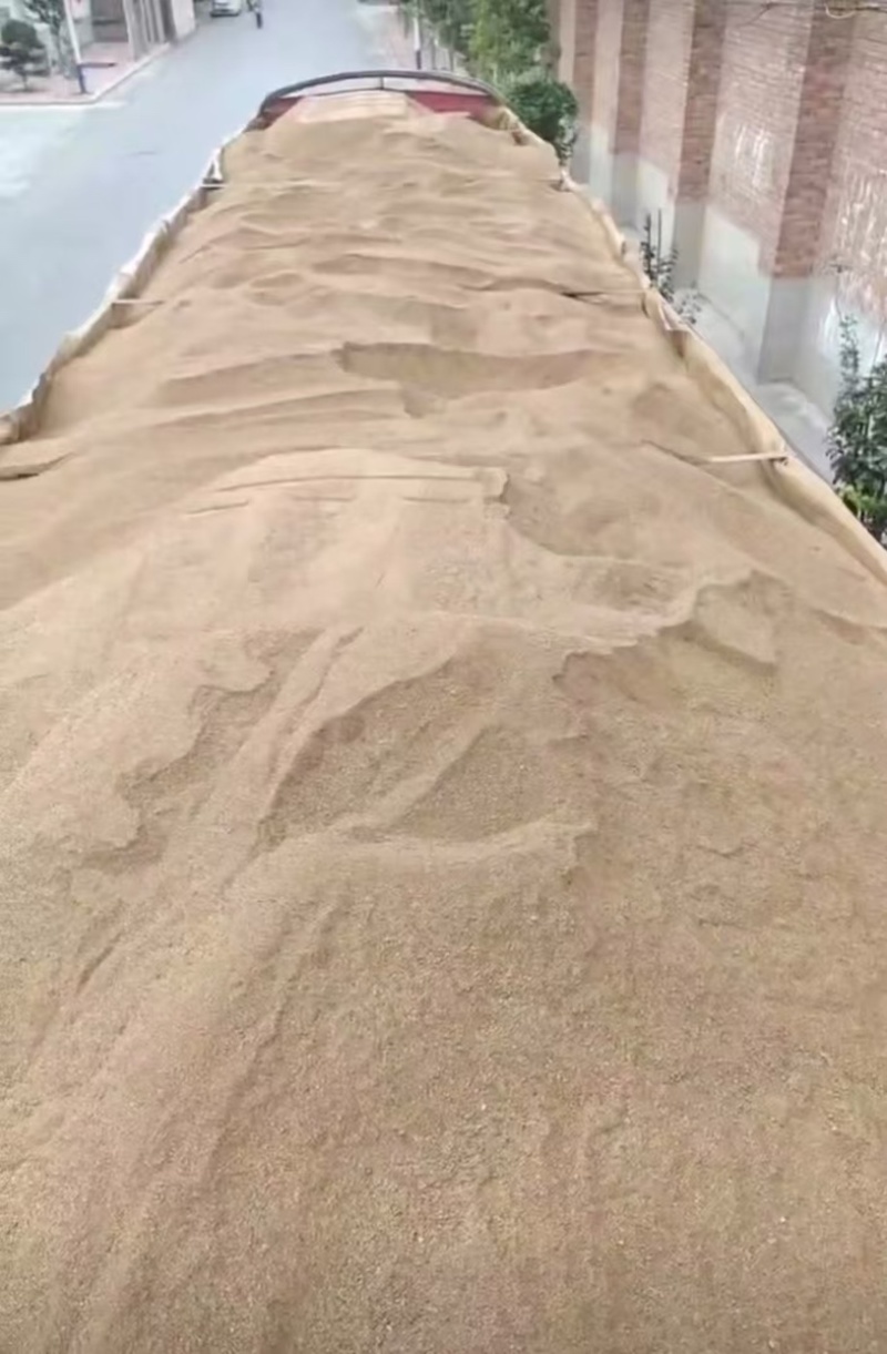 玉米酒糟（DDGS）小龙虾鱼等水产育肥牛羊等饲料原料