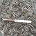 24小时在线服务瓜子无杂质，品质佳，货量充足，欢迎咨询
