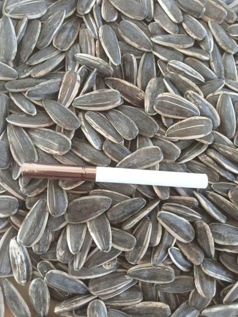 24小时在线服务瓜子无杂质，品质佳，货量充足，欢迎咨询