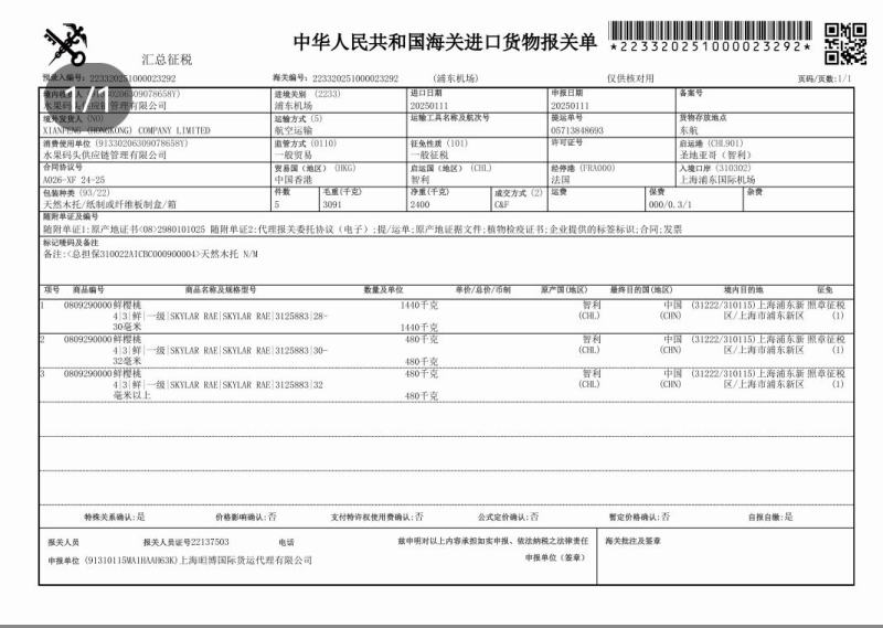 【一件代发】大连佳红黄樱桃新鲜发货品质保障顺丰空运