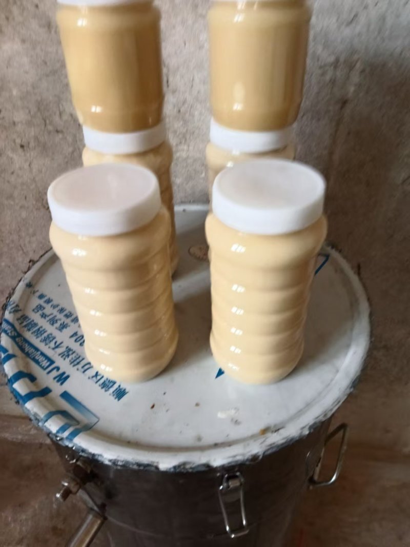 土蜂蜜，大量有货，自家养殖，欢迎新老客户前来合作
