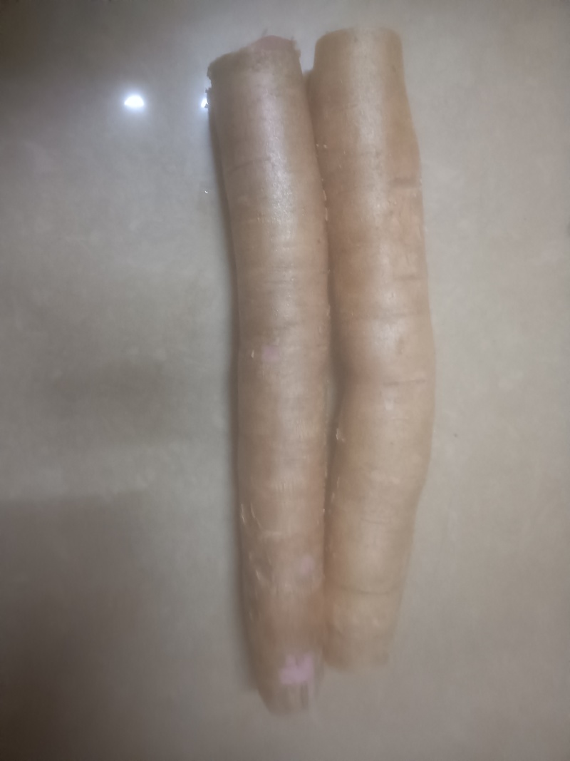 广西木薯