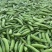 26年新豌豆豌豆豌豆荚中豌9号大量供应对接全国