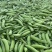 26年新豌豆豌豆豌豆荚中豌9号大量供应对接全国