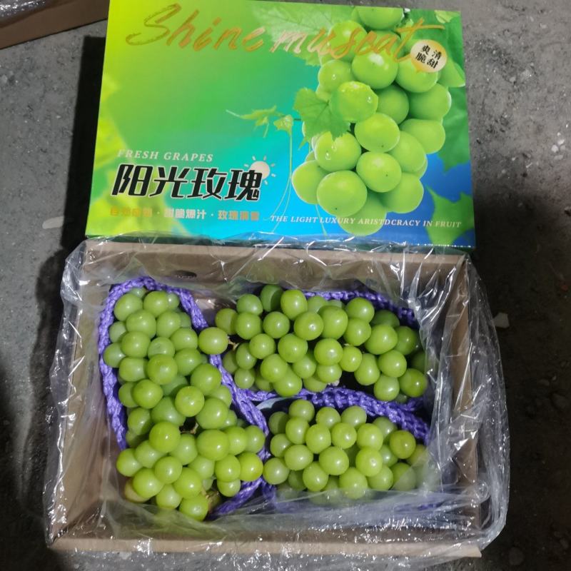 阳光玫瑰葡萄新鲜无籽精美礼盒包装提供电商
